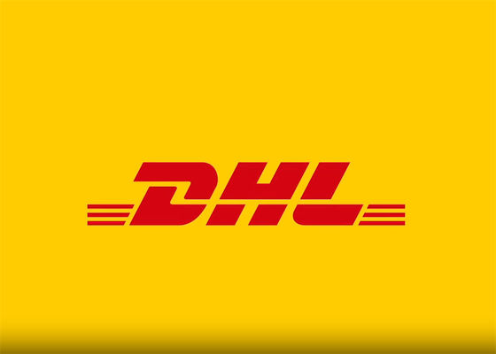 100kg DDP 전 세계 급속 택배 서비스